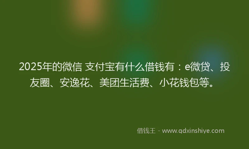 2025年的微信 支付宝有什么借钱有：e微贷、投友圈、安逸花、美团生活费、小花钱包等。