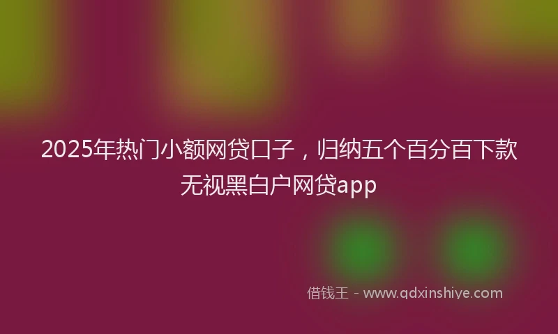 2025年热门小额网贷口子，归纳五个百分百下款无视黑白户网贷app