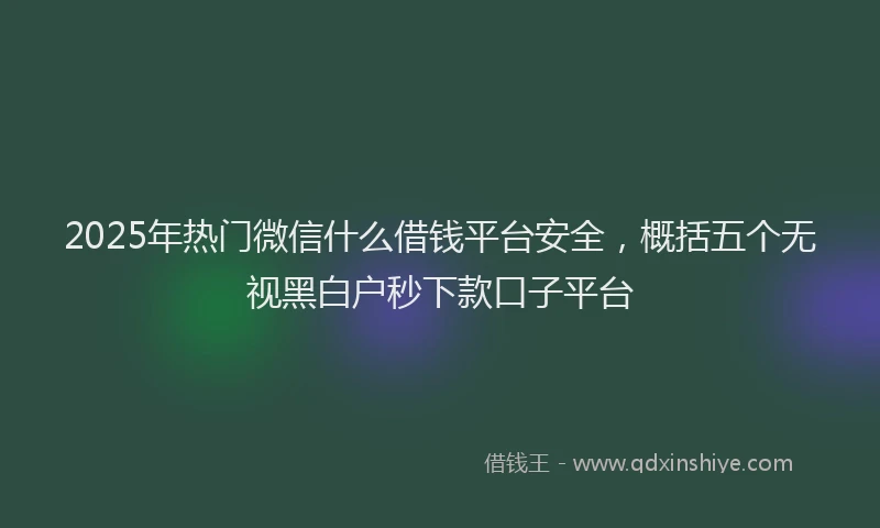 2025年热门微信什么借钱平台安全，概括五个无视黑白户秒下款口子平台