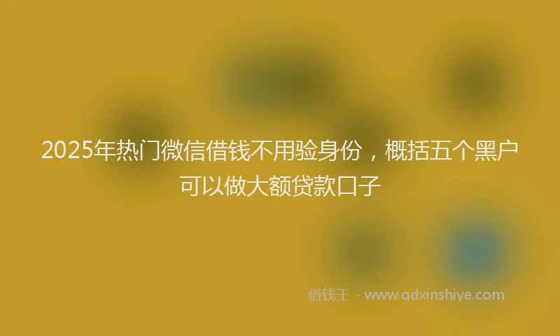 2025年热门微信借钱不用验身份，概括五个黑户可以做大额贷款口子