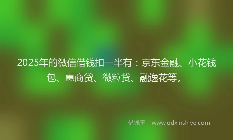 2025年的微信借钱扣一半有：京东金融、小花钱包、惠商贷、微粒贷、融逸花等。