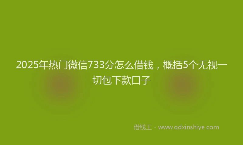 2025年热门微信733分怎么借钱，概括5个无视一切包下款口子