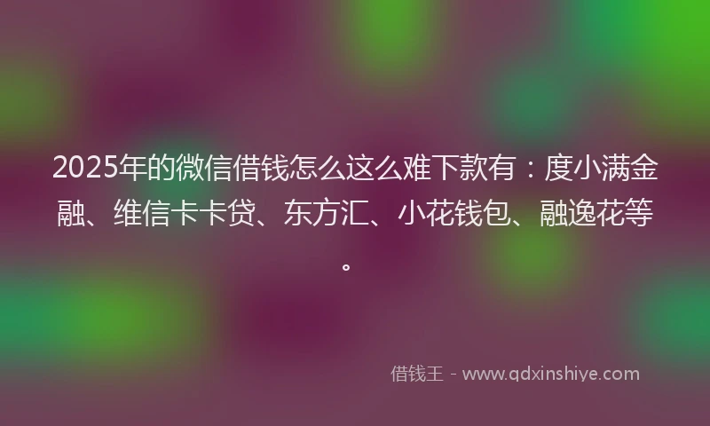 2025年的微信借钱怎么这么难下款有：度小满金融、维信卡卡贷、东方汇、小花钱包、融逸花等。