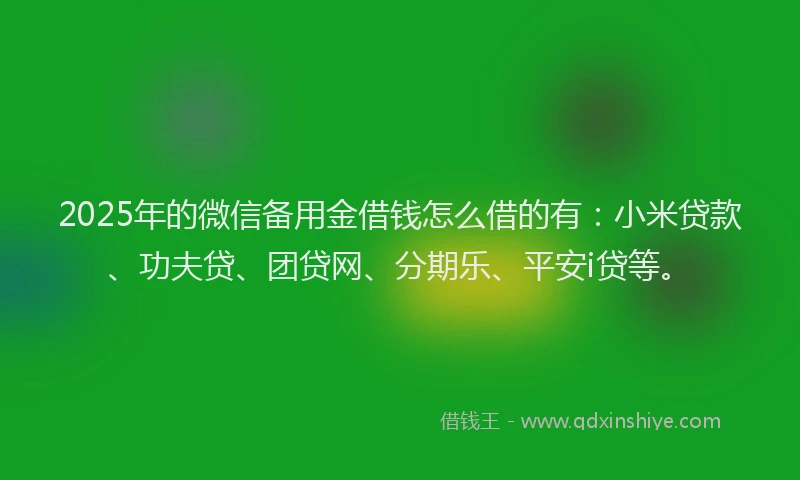 2025年的微信备用金借钱怎么借的有：小米贷款、功夫贷、团贷网、分期乐、平安i贷等。