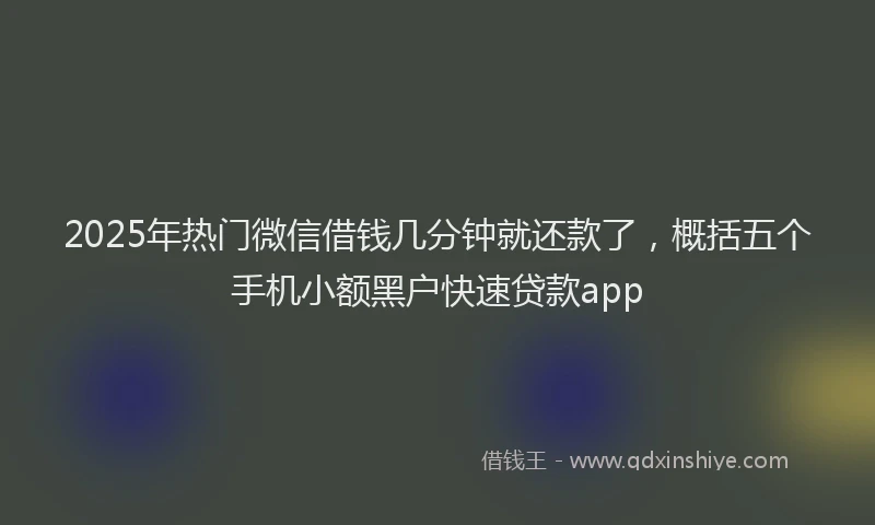 2025年热门微信借钱几分钟就还款了，概括五个手机小额黑户快速贷款app