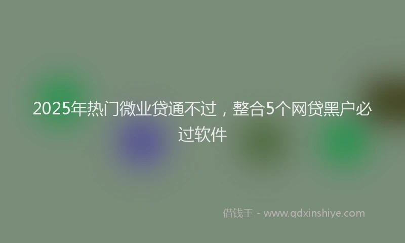 2025年热门微业贷通不过，整合5个网贷黑户必过软件