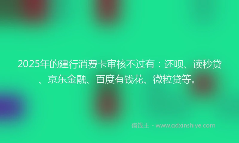 2025年的建行消费卡审核不过有：还呗、读秒贷、京东金融、百度有钱花、微粒贷等。