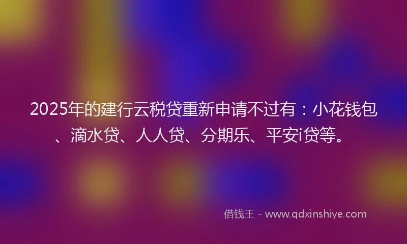 2025年的建行云税贷重新申请不过有：小花钱包、滴水贷、人人贷、分期乐、平安i贷等。