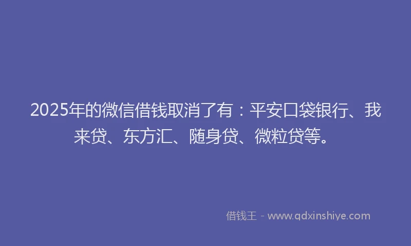 2025年的微信借钱取消了有：平安口袋银行、我来贷、东方汇、随身贷、微粒贷等。
