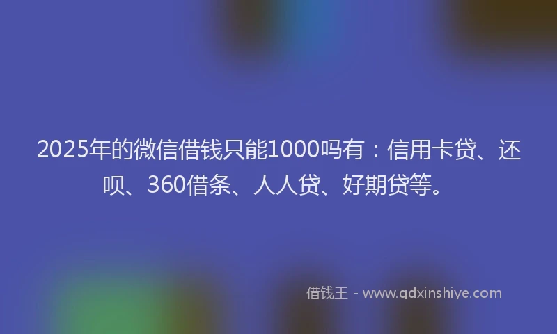 2025年的微信借钱只能1000吗有：信用卡贷、还呗、360借条、人人贷、好期贷等。
