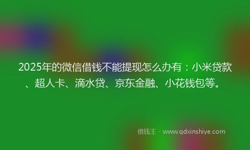 2025年的微信借钱不能提现怎么办有：小米贷款、超人卡、滴水贷、京东金融、小花钱包等。