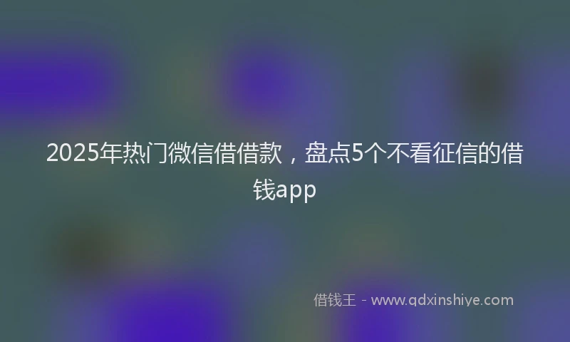 2025年热门微信借借款，盘点5个不看征信的借钱app