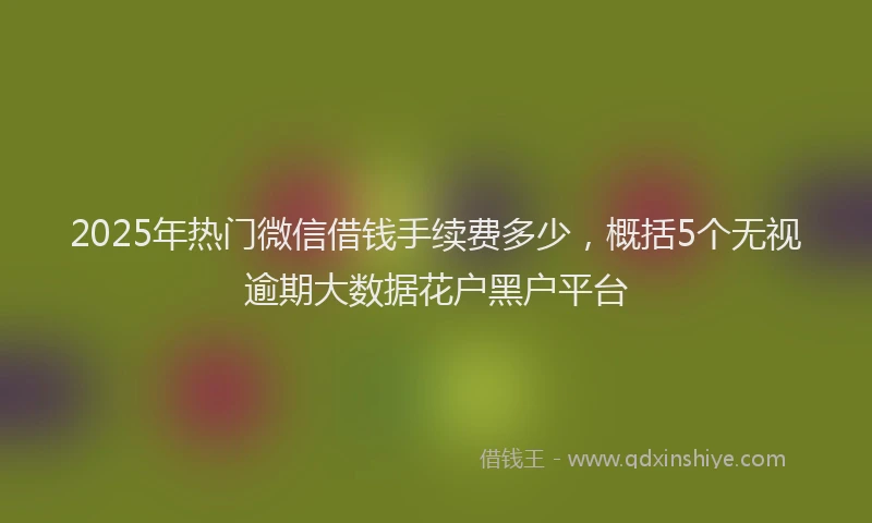 2025年热门微信借钱手续费多少，概括5个无视逾期大数据花户黑户平台