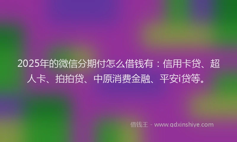 2025年的微信分期付怎么借钱有：信用卡贷、超人卡、拍拍贷、中原消费金融、平安i贷等。