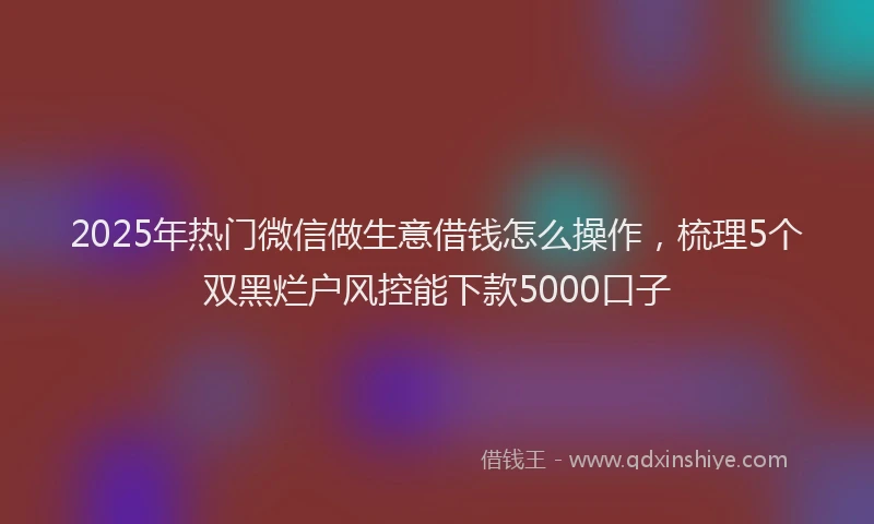 2025年热门微信做生意借钱怎么操作，梳理5个双黑烂户风控能下款5000口子