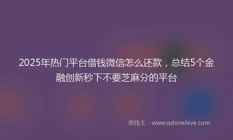2025年热门平台借钱微信怎么还款，总结5个金融创新秒下不要芝麻分的平台