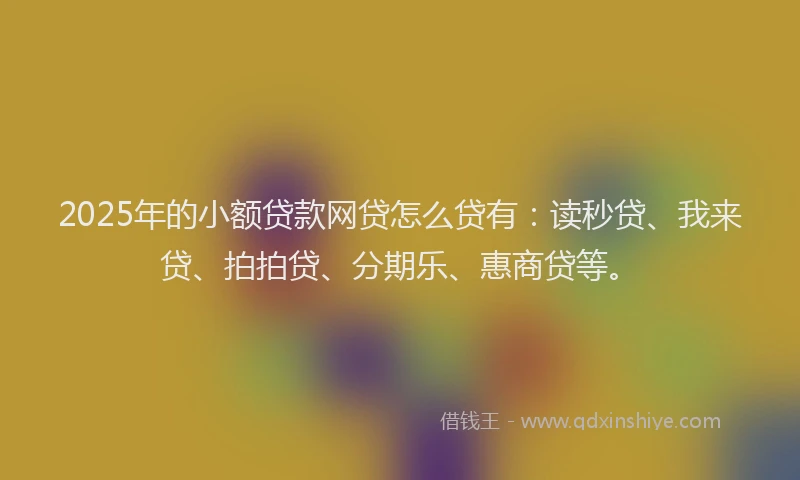 2025年的小额贷款网贷怎么贷有:读秒贷、我来贷、拍拍贷、分期乐、惠商贷等。