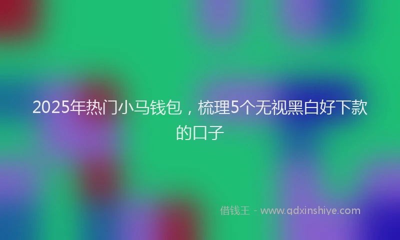 2025年热门小马钱包，梳理5个无视黑白好下款的口子