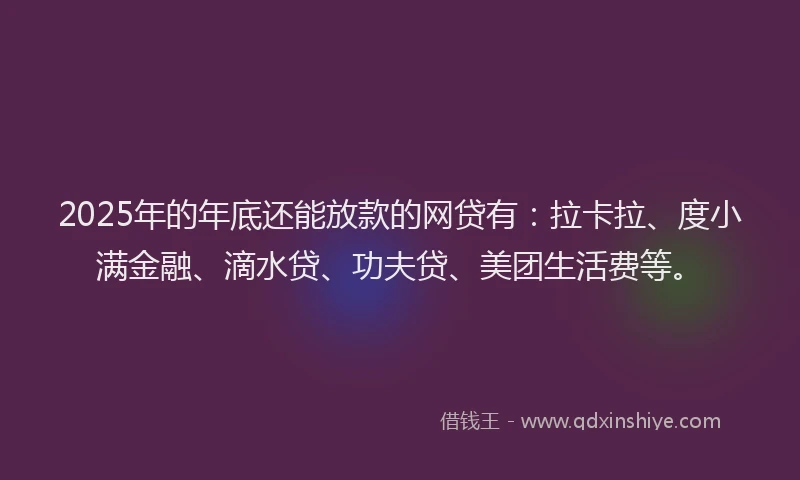 2025年的年底还能放款的网贷有：拉卡拉、度小满金融、滴水贷、功夫贷、美团生活费等。