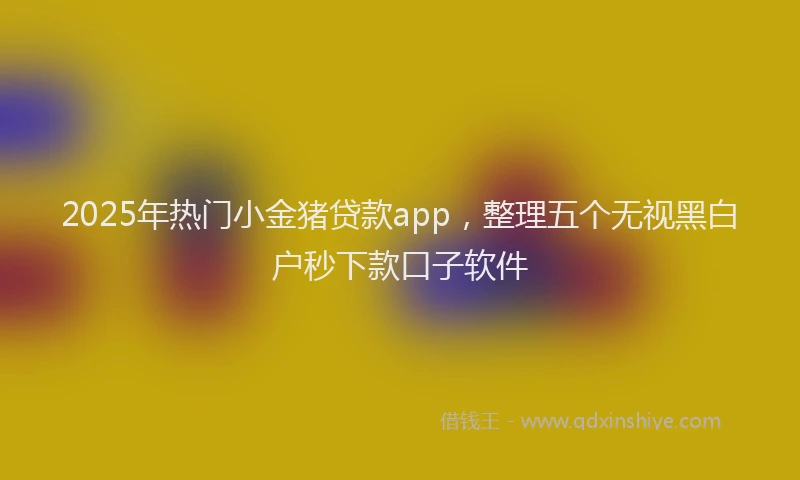 2025年热门小金猪贷款app，整理五个无视黑白户秒下款口子软件
