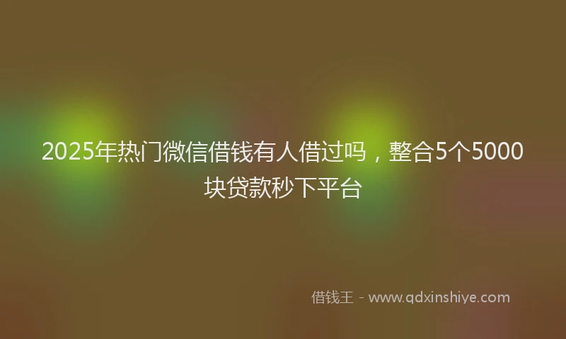 2025年热门微信借钱有人借过吗，整合5个5000块贷款秒下平台