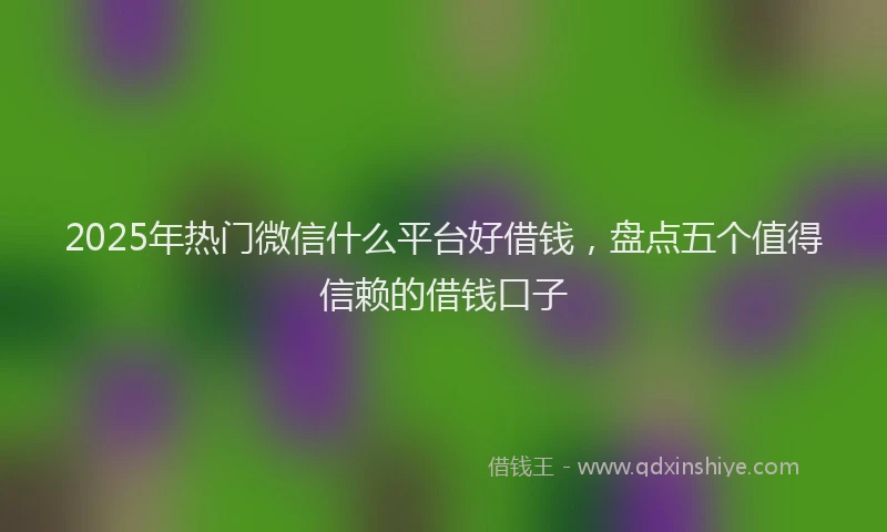 2025年热门微信什么平台好借钱，盘点五个值得信赖的借钱口子