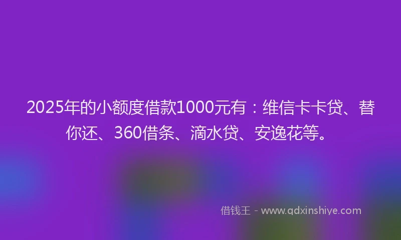 2025年的小额度借款1000元有：维信卡卡贷、替你还、360借条、滴水贷、安逸花等。