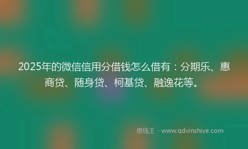 2025年的微信信用分借钱怎么借有：分期乐、惠商贷、随身贷、柯基贷、融逸花等。