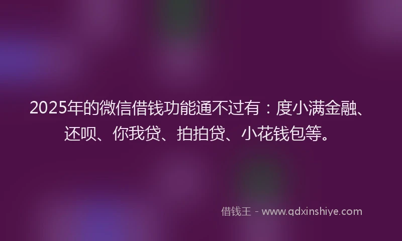 2025年的微信借钱功能通不过有：度小满金融、还呗、你我贷、拍拍贷、小花钱包等。