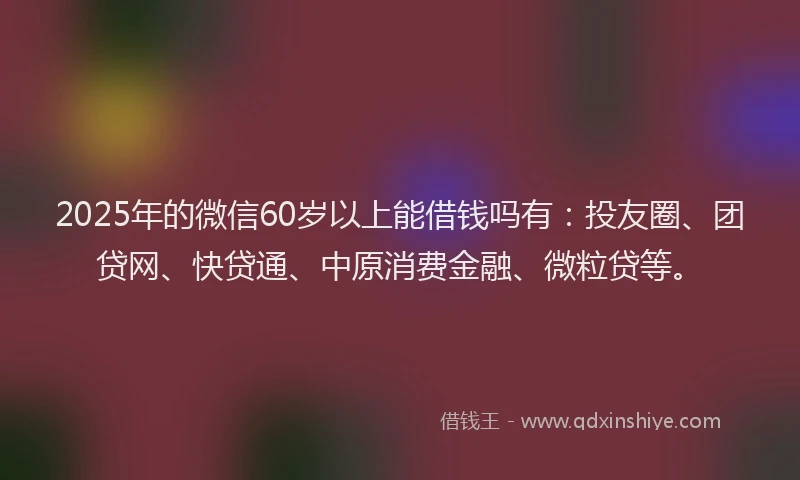 2025年的微信60岁以上能借钱吗有：投友圈、团贷网、快贷通、中原消费金融、微粒贷等。
