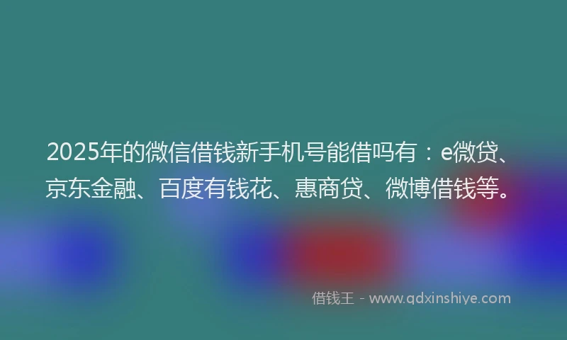 2025年的微信借钱新手机号能借吗有：e微贷、京东金融、百度有钱花、惠商贷、微博借钱等。