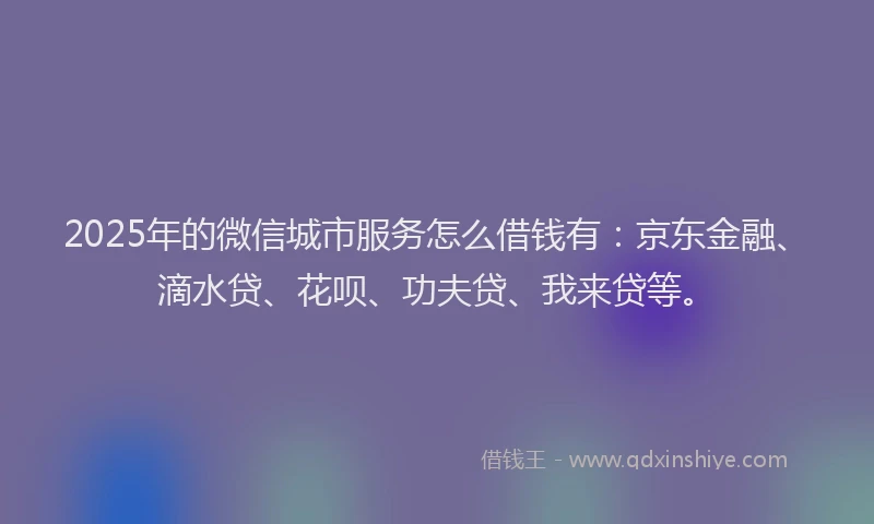 2025年的微信城市服务怎么借钱有：京东金融、滴水贷、花呗、功夫贷、我来贷等。