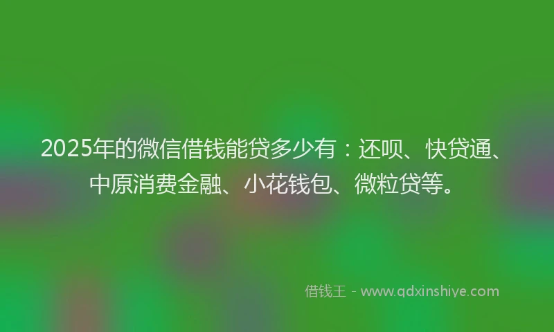 2025年的微信借钱能贷多少有：还呗、快贷通、中原消费金融、小花钱包、微粒贷等。
