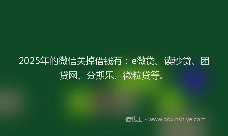 2025年的微信关掉借钱有：e微贷、读秒贷、团贷网、分期乐、微粒贷等。
