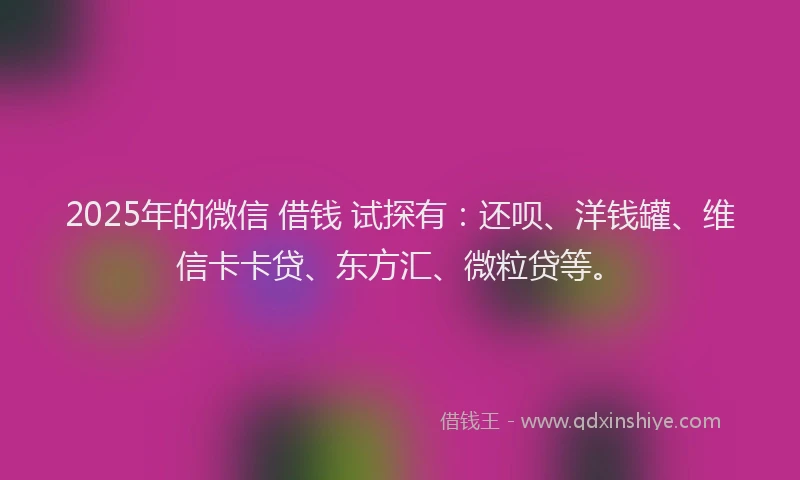 2025年的微信 借钱 试探有：还呗、洋钱罐、维信卡卡贷、东方汇、微粒贷等。