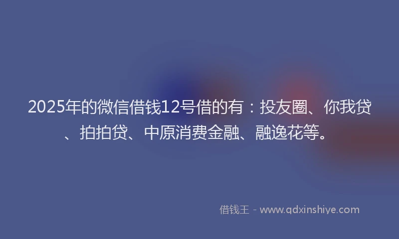 2025年的微信借钱12号借的有：投友圈、你我贷、拍拍贷、中原消费金融、融逸花等。