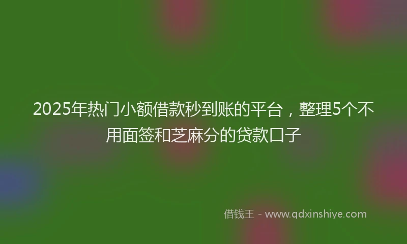 2025年热门小额借款秒到账的平台，整理5个不用面签和芝麻分的贷款口子