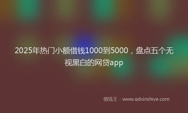 2025年热门小额借钱1000到5000，盘点五个无视黑白的网贷app