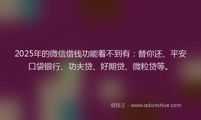 2025年的微信借钱功能看不到有：替你还、平安口袋银行、功夫贷、好期贷、微粒贷等。