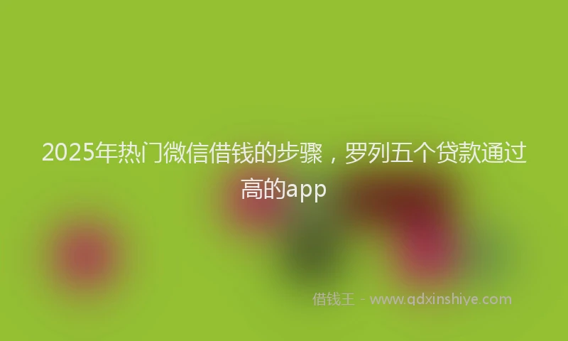 2025年热门微信借钱的步骤，罗列五个贷款通过高的app