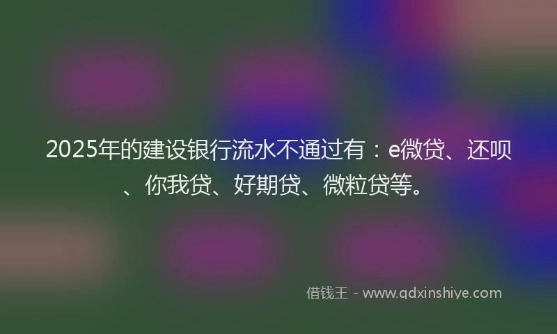 2025年的建设银行流水不通过有：e微贷、还呗、你我贷、好期贷、微粒贷等。