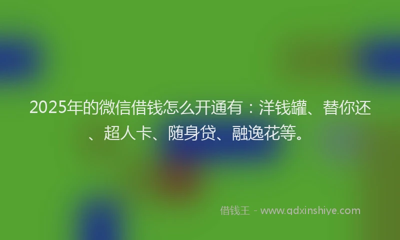 2025年的微信借钱怎么开通有：洋钱罐、替你还、超人卡、随身贷、融逸花等。