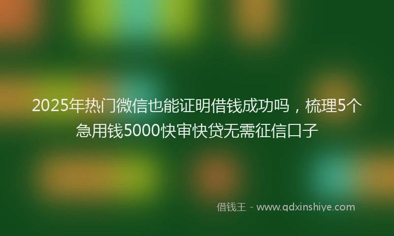 2025年热门微信也能证明借钱成功吗，梳理5个急用钱5000快审快贷无需征信口子