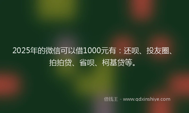2025年的微信可以借1000元有：还呗、投友圈、拍拍贷、省呗、柯基贷等。