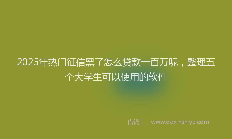 2025年热门征信黑了怎么贷款一百万呢，整理五个大学生可以使用的软件