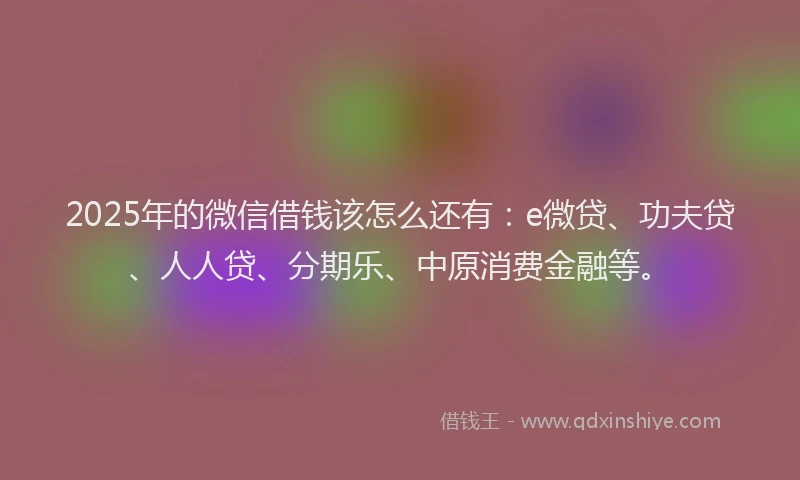 2025年的微信借钱该怎么还有：e微贷、功夫贷、人人贷、分期乐、中原消费金融等。