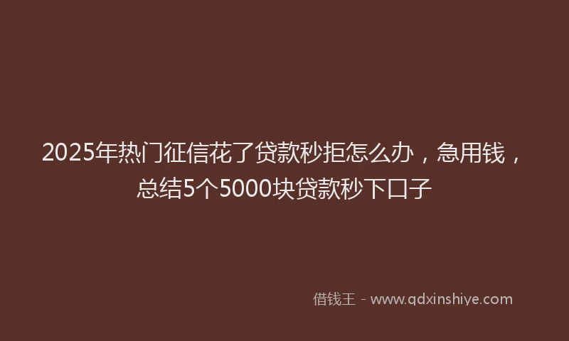 2025年热门征信花了贷款秒拒怎么办，急用钱，总结5个5000块贷款秒下口子