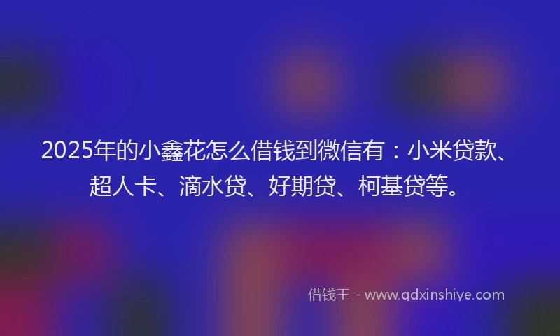 2025年的小鑫花怎么借钱到微信有：小米贷款、超人卡、滴水贷、好期贷、柯基贷等。