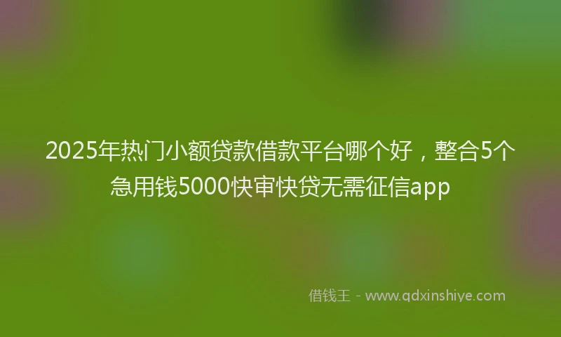 2025年热门小额贷款借款平台哪个好，整合5个急用钱5000快审快贷无需征信app