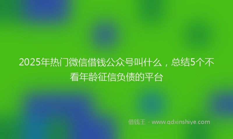 2025年热门微信借钱公众号叫什么，总结5个不看年龄征信负债的平台